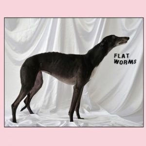 Flat Worms - Flat Worms in the group CD / Upcoming releases / Reggae at Bengans Skivbutik AB (2553196)