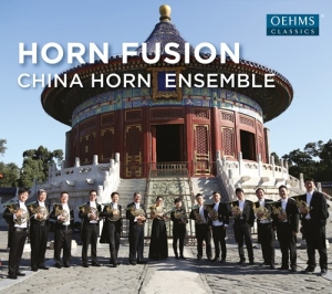 Various - Horn Fusion in the group Externt_Lager /  at Bengans Skivbutik AB (2556733)