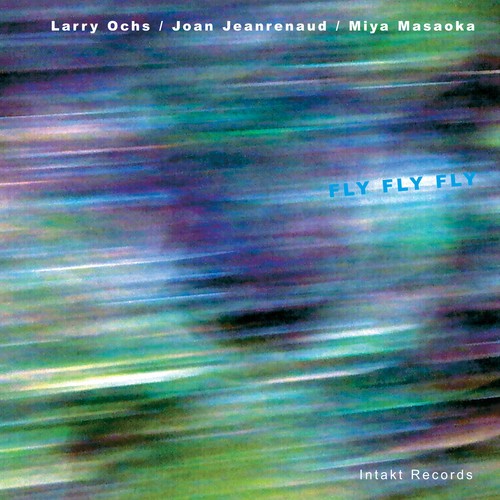 Larry Ochs Joan Jeanrenaud Miya M - Fly Fly Fly in the group CD / Jazz/Blues at Bengans Skivbutik AB (2557354)