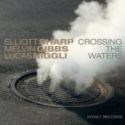Elliott Sharp Melvin Gibbs Lucas - Crossing The Waters in the group OTHER / Övrigt / at Bengans Skivbutik AB (2557466)