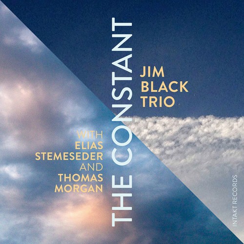 Jim Black Trio - The Constant in the group CD / Jazz/Blues at Bengans Skivbutik AB (2557518)