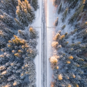 BVDUB - HEARTLESS in the group CD / Pop-Rock at Bengans Skivbutik AB (2560265)