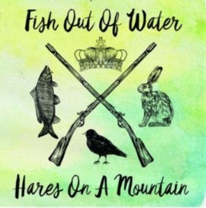Fish Out Of Water - Hares On A Mountain in the group CD / Pop-Rock at Bengans Skivbutik AB (2560301)