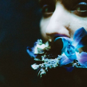 Circuit Des Yeux - Reaching For Indigo in the group CD / Pop-Rock at Bengans Skivbutik AB (2560866)