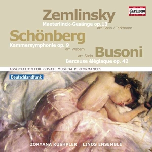 Zemlinsky Alexander Schoenberg A - Orchestral Songs in the group Externt_Lager /  at Bengans Skivbutik AB (2607678)
