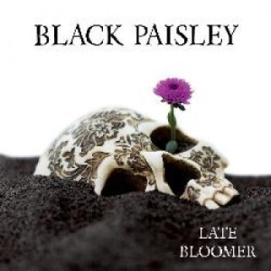 Black Paisley - Late Bloomer in the group VINYL / Hårdrock/ Heavy metal at Bengans Skivbutik AB (2618070)