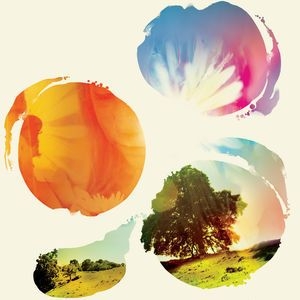 Tycho - Past Is Prologue in the group VINYL / Vinyl Electronica at Bengans Skivbutik AB (2620507)