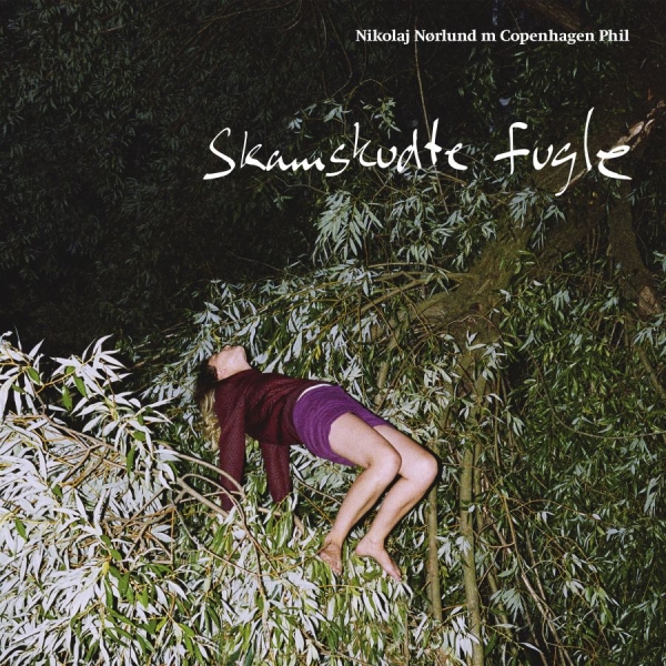 Nikolaj Nørlund / Copenhagen Phil - Skamskudte Fugle in the group CD / Bestsellers at Bengans Skivbutik AB (2663992)