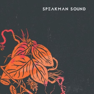 Speakman Sound - Warm Ep in the group VINYL / Pop at Bengans Skivbutik AB (2721260)
