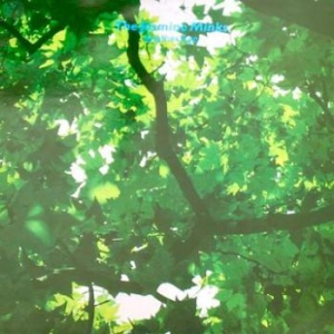 Jasmine Minks - Another Age in the group VINYL / Pop-Rock at Bengans Skivbutik AB (2728666)