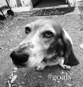 Goals - Goals in the group OTHER / Övrigt / at Bengans Skivbutik AB (2788458)