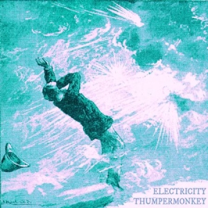Thumpermonkey - Electricity in the group CD / Pop-Rock at Bengans Skivbutik AB (2813489)