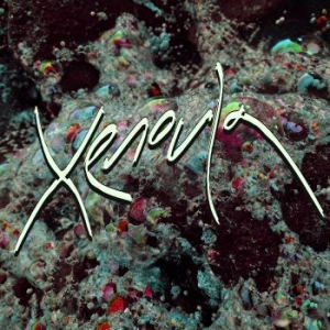 Xenoula - Xenoula in the group VINYL / Dans/Techno at Bengans Skivbutik AB (2822119)