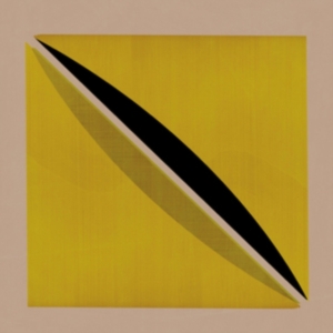 Snow Palms - Origin And Echo in the group VINYL / Pop-Rock at Bengans Skivbutik AB (2822232)