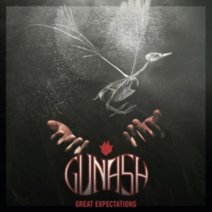 Gunash - Great Expectations in the group CD / Pop-Rock at Bengans Skivbutik AB (2822262)
