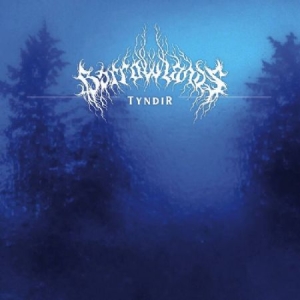 Barrowlands - Tyndir in the group CD / Rock at Bengans Skivbutik AB (2851544)