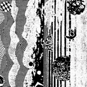 Nightcrawlers - Biophonic Boombox Recordings in the group VINYL / Pop-Rock at Bengans Skivbutik AB (3000888)