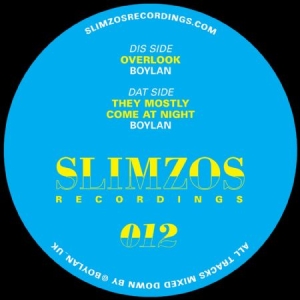 Boylan - Overlook in the group VINYL / Dans/Techno at Bengans Skivbutik AB (3000995)