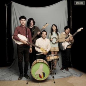 Sea Lions - Everything You Always Wanted To Kno in the group CD / Pop at Bengans Skivbutik AB (3013819)