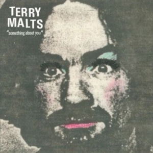 Terry Malts - Something About You in the group VINYL / Rock at Bengans Skivbutik AB (3013823)