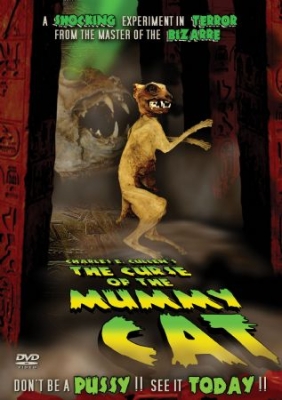 Curse Of The Mummy Cat - Film in the group OTHER / Music-DVD & Bluray at Bengans Skivbutik AB (3013913)