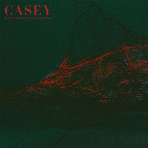 Casey - Where I Go When I Am Sleeping in the group CD / Rock at Bengans Skivbutik AB (3013992)