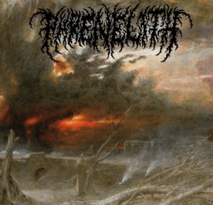 Phrenelith - Desolate Endscape in the group VINYL / Hårdrock/ Heavy metal at Bengans Skivbutik AB (3015630)