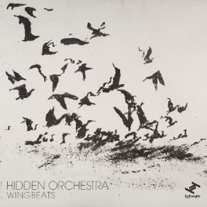 Hidden Orchestra - Wingbeats in the group VINYL / Dans/Techno at Bengans Skivbutik AB (3015811)
