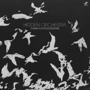 Hidden Orchestra - Dawn Chorus Remixes in the group VINYL / Dance-Techno at Bengans Skivbutik AB (3015836)