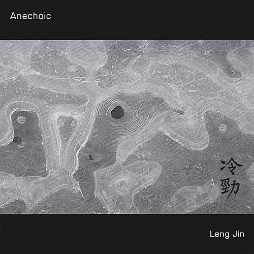 Anechoic - Leng Jin in the group CD / Rock at Bengans Skivbutik AB (3034504)