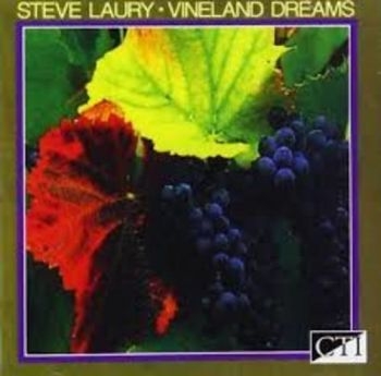 Laury Steve - Vineland Dreams in the group CD / Bestsellers at Bengans Skivbutik AB (3043499)