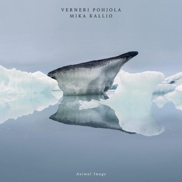 Verneri Pohjola - Animal Image in the group CD / Jazz/Blues at Bengans Skivbutik AB (3049878)