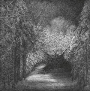 Djevel - Blant Svarte Graner in the group Minishops / Djevel at Bengans Skivbutik AB (3052614)