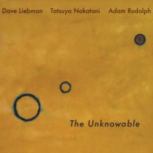 Liebman Dave Adam Rudolph Tatsuy - Unknowable in the group CD / Jazz at Bengans Skivbutik AB (3052806)