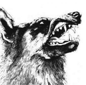 Crippled Black Phoenix - I, Vigilante (CD) in the group CD / Pop-Rock at Bengans Skivbutik AB (3082836)