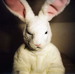 Georgias Horse - Mammoth Session in the group CD / Pop-Rock at Bengans Skivbutik AB (3083532)