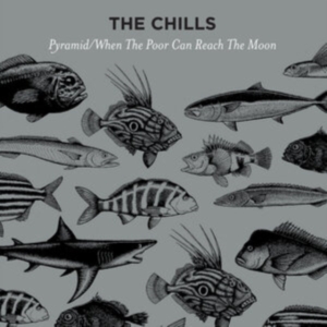 Chills - Pyramid in the group VINYL / Pop-Rock at Bengans Skivbutik AB (3096912)
