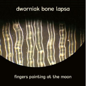 Dworniak Bone Lapsa - Fingers Pointing At The Moon in the group CD / Rock at Bengans Skivbutik AB (3110240)