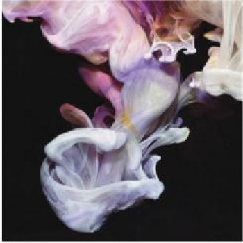Simian Mobile Disco - Murmurations in the group CD / Bestsellers at Bengans Skivbutik AB (3115867)