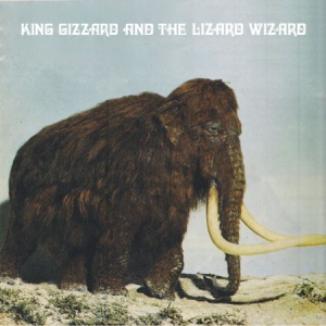 King Gizzard & The Lizard Wizard - Polygondwanaland (Fuzz Club Version in the group Minishops / King Gizzard at Bengans Skivbutik AB (3122534)