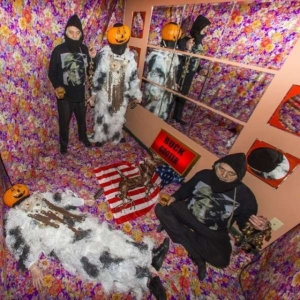 Buck Gooter - 100 Bells in the group VINYL / Pop-Rock at Bengans Skivbutik AB (3178266)