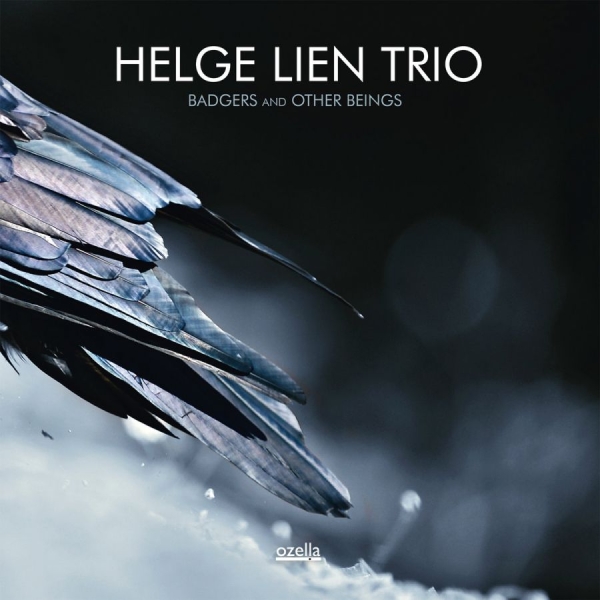 Lien Helge (Trio) - Badgers And Other Beings in the group CD / Bestsellers at Bengans Skivbutik AB (3186714)