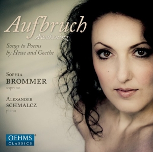 Brommer - Aufbruch in the group Externt_Lager /  at Bengans Skivbutik AB (3187151)