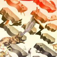 I'm Kingfisher - Transit in the group VINYL / Pop-Rock at Bengans Skivbutik AB (3205264)