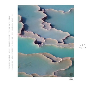 Arp - Zebra in the group CD / Pop-Rock at Bengans Skivbutik AB (3205321)