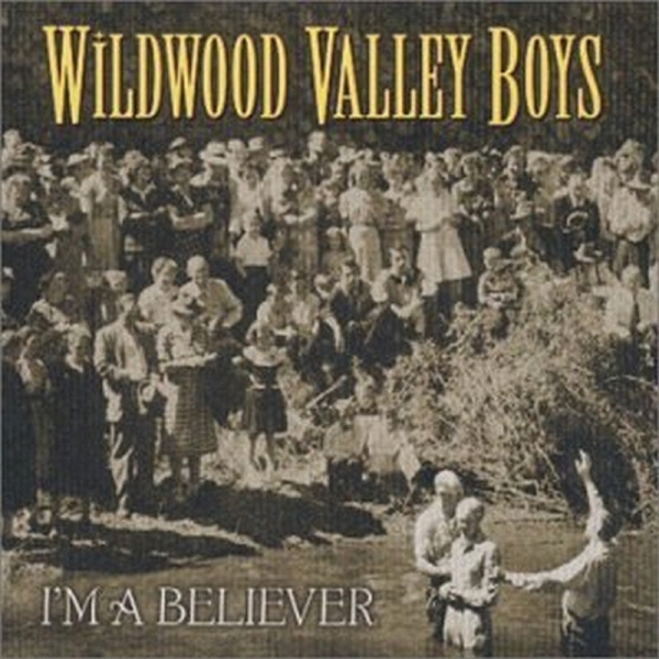 The Wildwood Valley Boys - I'm A Believer in the group CD / Country at Bengans Skivbutik AB (3205447)