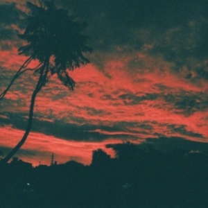 Zavala Malena - Aliso in the group CD / Pop-Rock at Bengans Skivbutik AB (3205657)