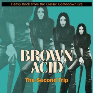 Various Artists - Brown Acid - The Second Trip in the group CD / Hårdrock at Bengans Skivbutik AB (3208349)