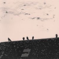 Stuart A. Staples - Arrhythmia in the group VINYL / Rock at Bengans Skivbutik AB (3211178)
