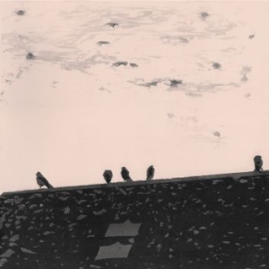 Stuart A. Staples - Arrhythmia in the group CD / Rock at Bengans Skivbutik AB (3211189)